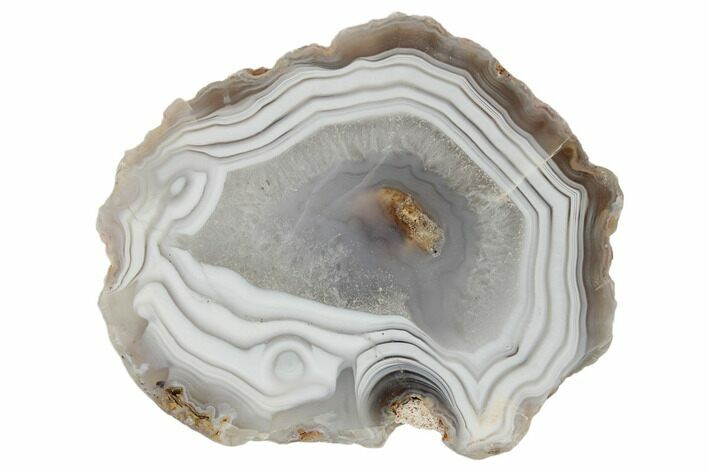 Polished Banded Agate Nodule Section - Agouim, Morocco #187098